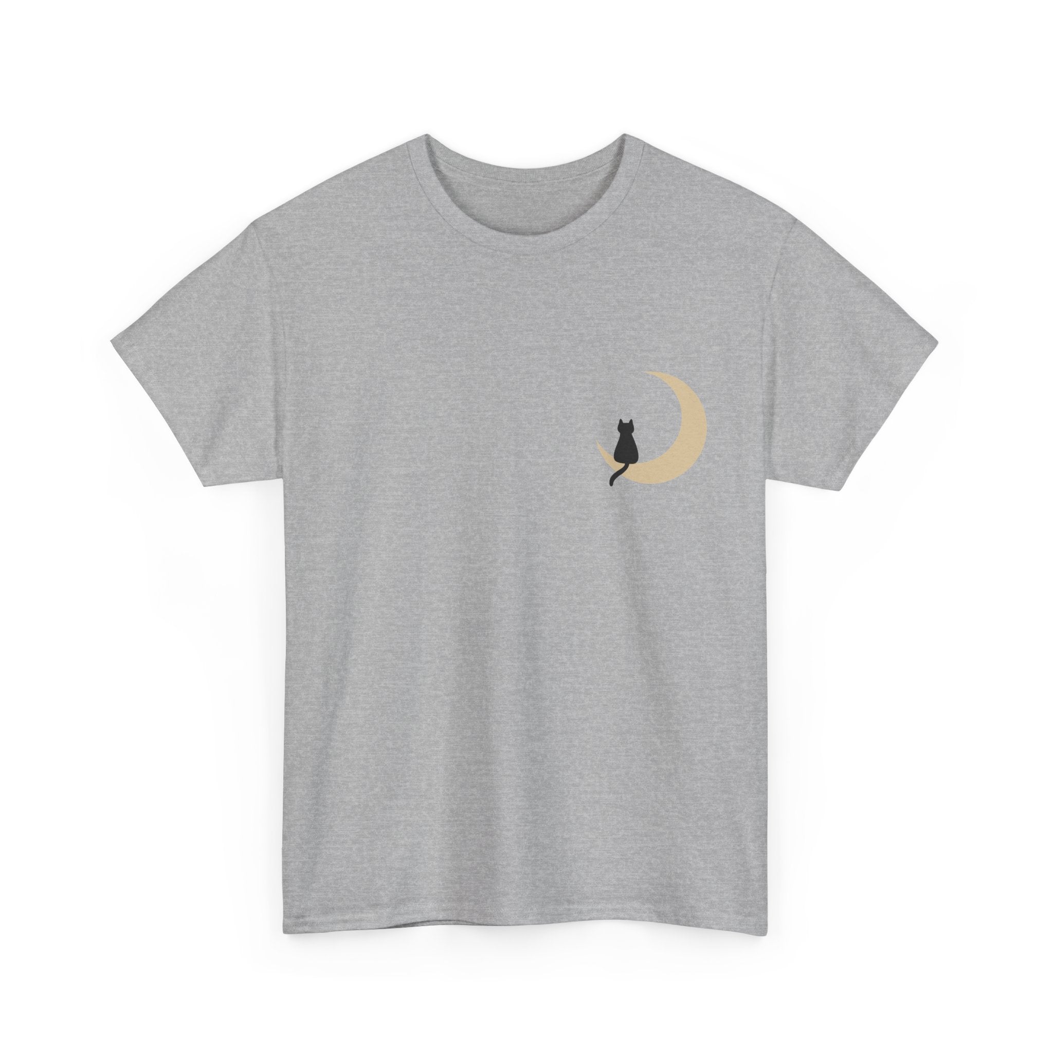 Cat on the Moon