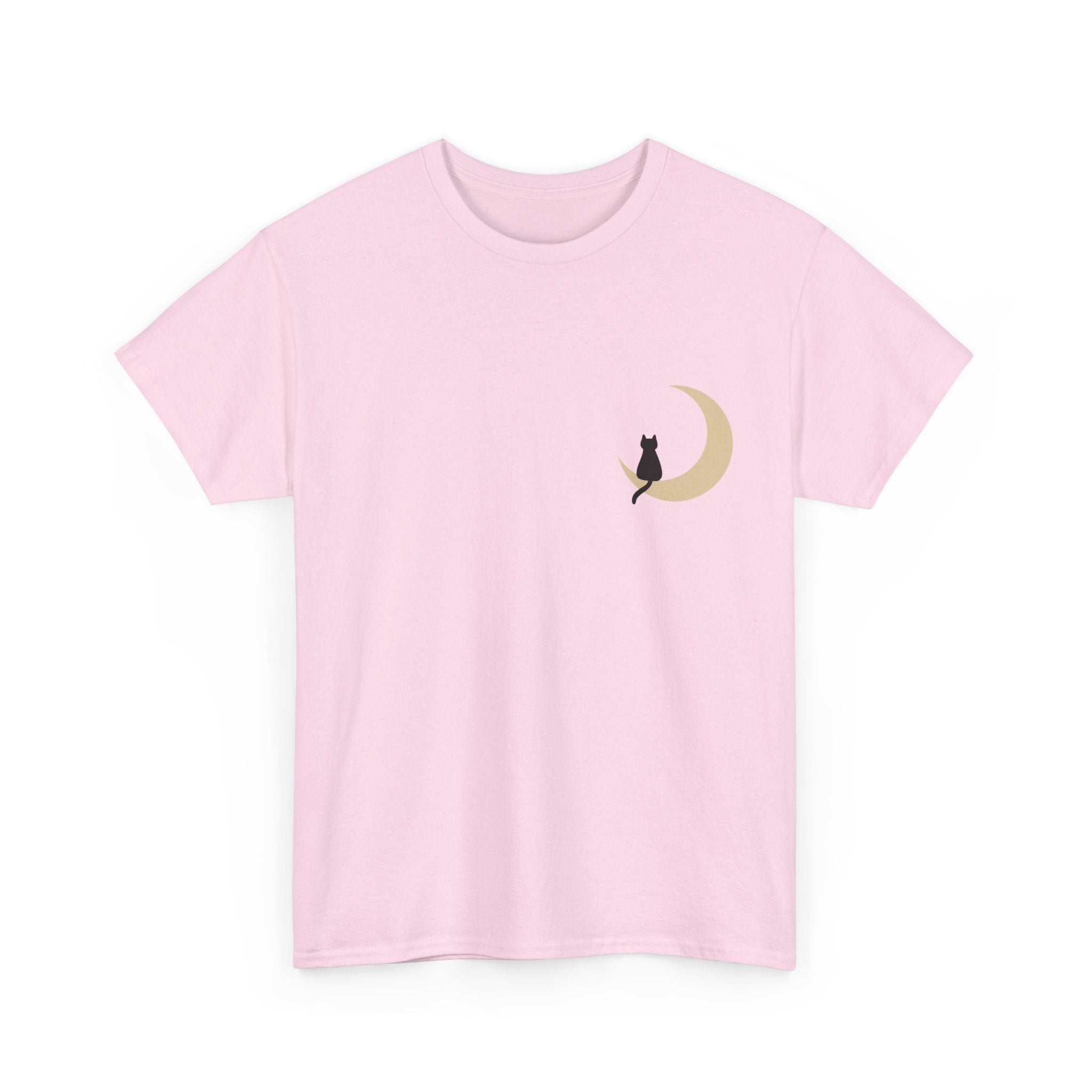 Cat on the Moon