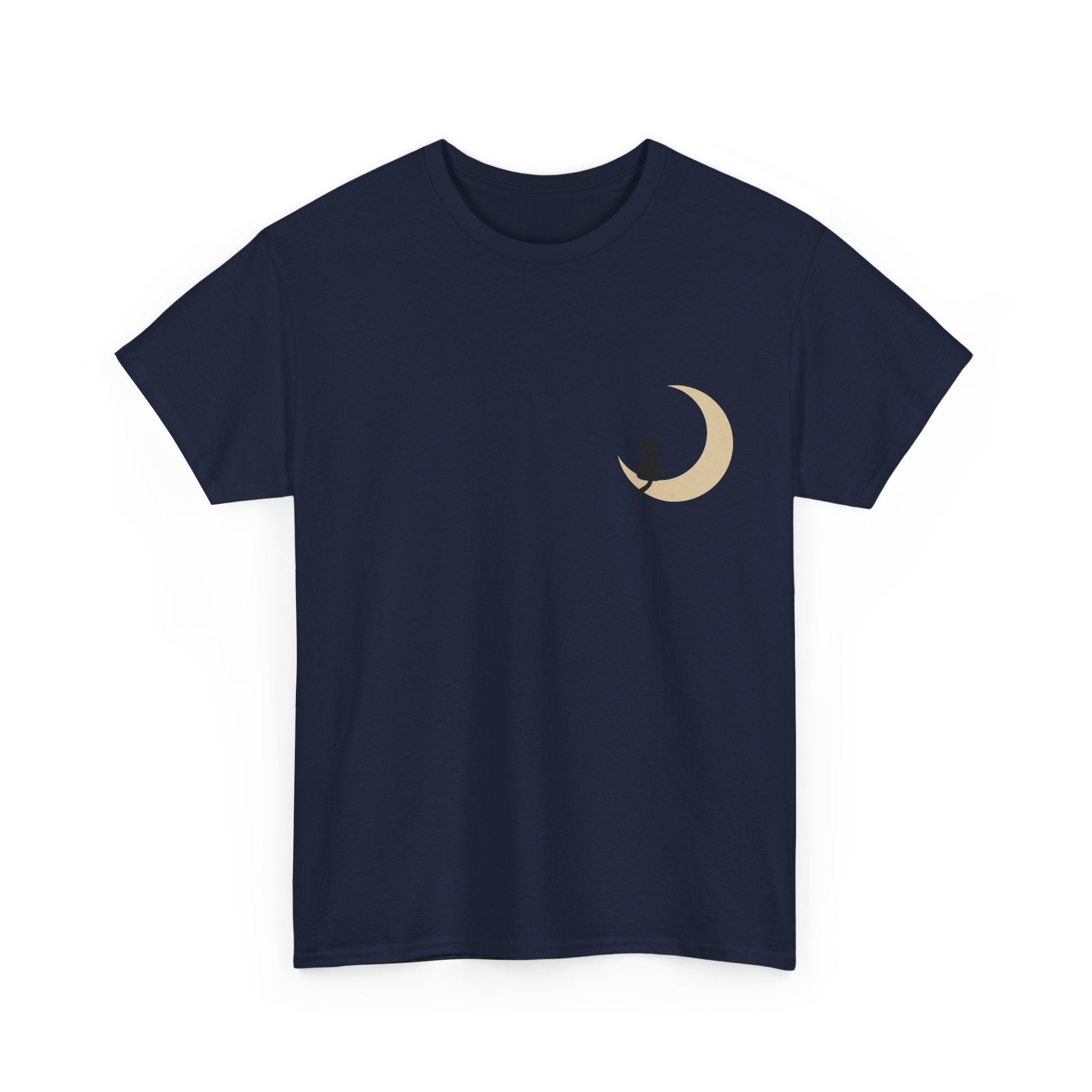 Cat on the Moon