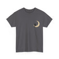 Cat on the Moon