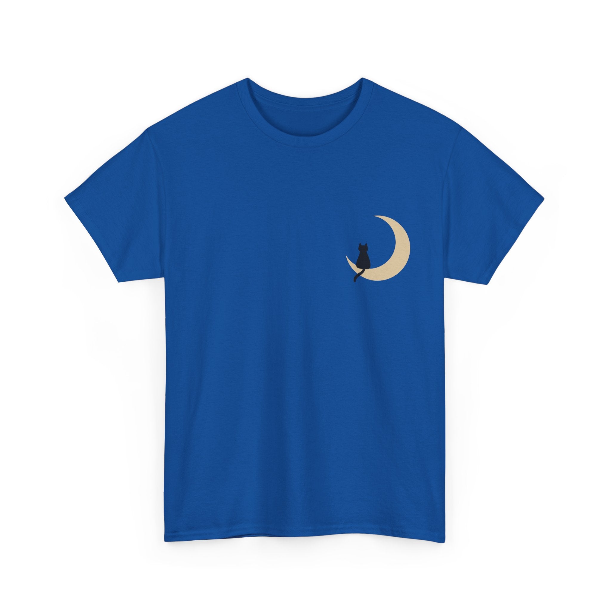 Cat on the Moon