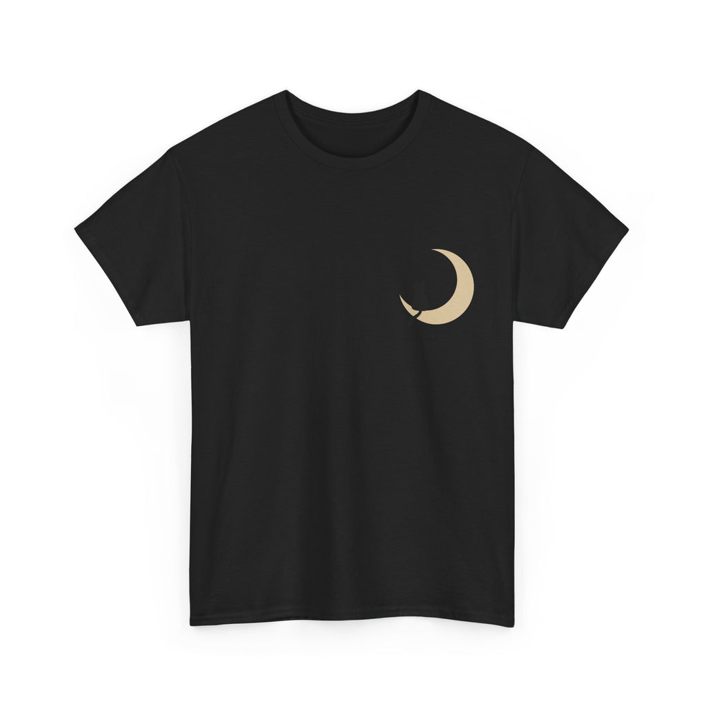 Cat on the Moon