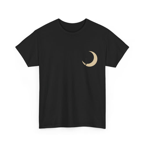 Cat on the Moon