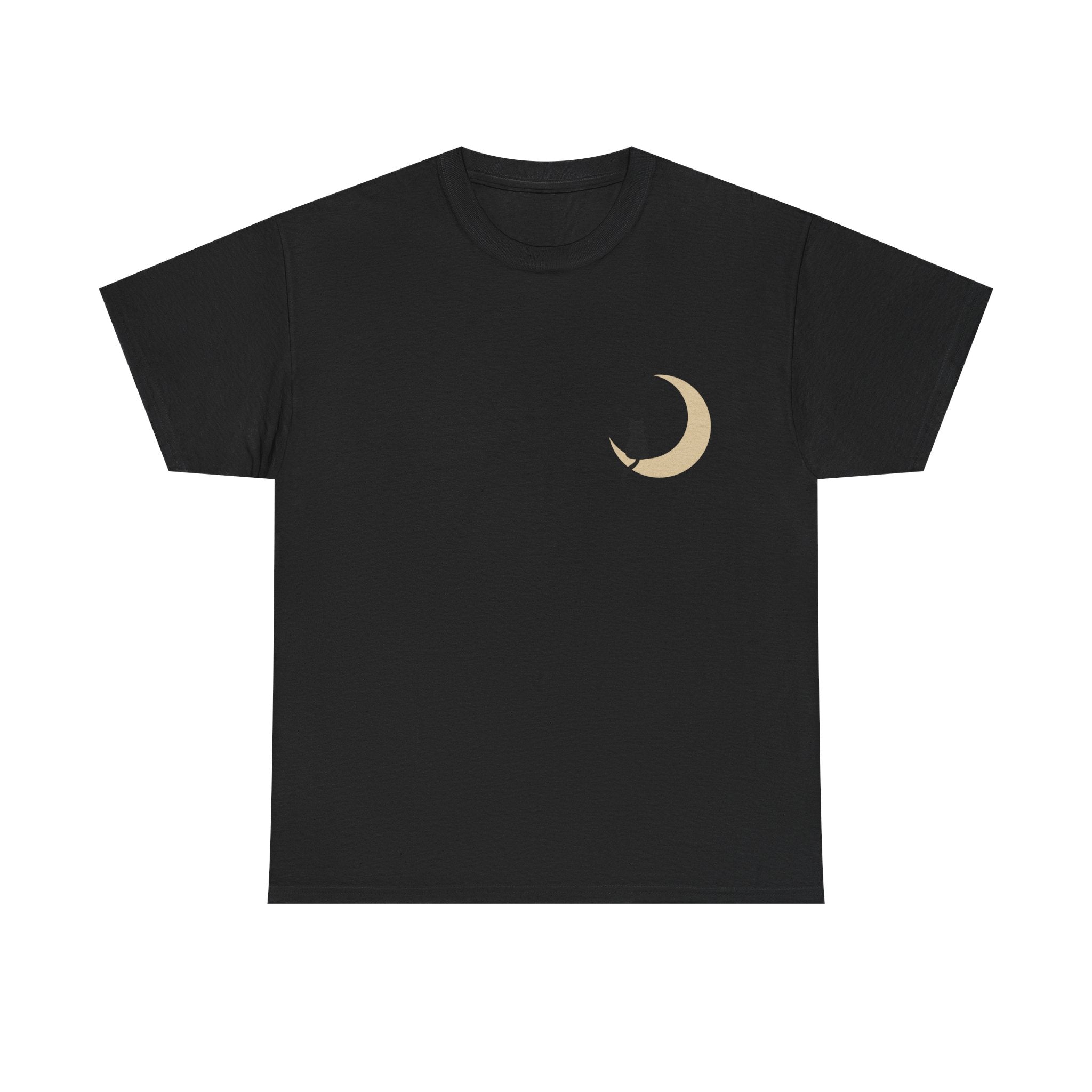 Cat on the Moon